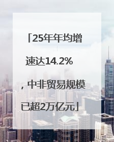 25年年均增速达14.2%，中非贸易规模已超2万亿元