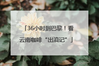 36小时到巴黎！看云南咖啡“出滇记”