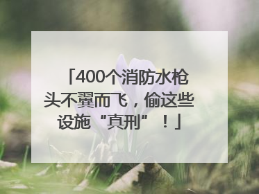 400个消防水枪头不翼而飞，偷这些设施“真刑”！