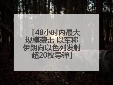 48小时内最大规模袭击 以军称伊朗向以色列发射超20枚导弹