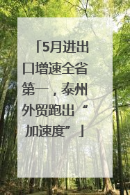 5月进出口增速全省第一，泰州外贸跑出“加速度”