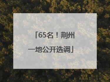 65名！荆州一地公开选调
