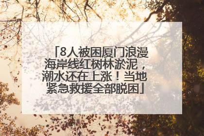 8人被困厦门浪漫海岸线红树林淤泥，潮水还在上涨！当地紧急救援全部脱困