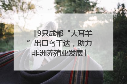9只成都“大耳羊”出口乌干达，助力非洲养殖业发展