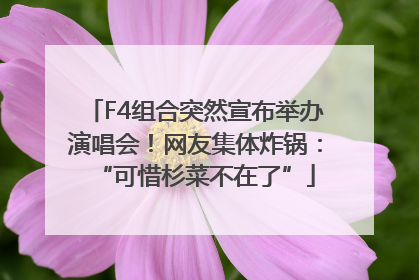 F4组合突然宣布举办演唱会！网友集体炸锅：“可惜杉菜不在了”