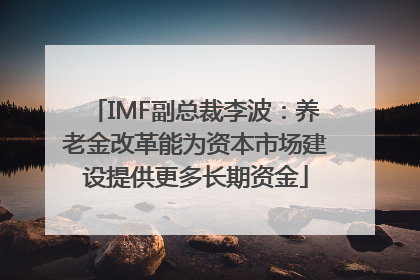 IMF副总裁李波：养老金改革能为资本市场建设提供更多长期资金
