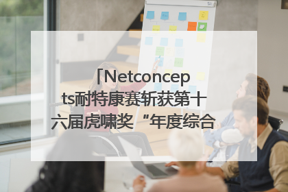 Netconcepts耐特康赛斩获第十六届虎啸奖“年度综合服务商”大奖