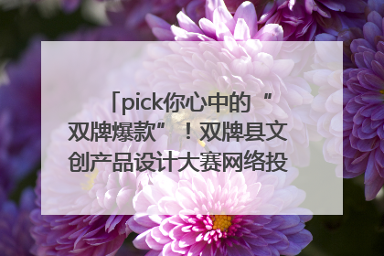 pick你心中的“双牌爆款”！双牌县文创产品设计大赛网络投票评选火热进行中